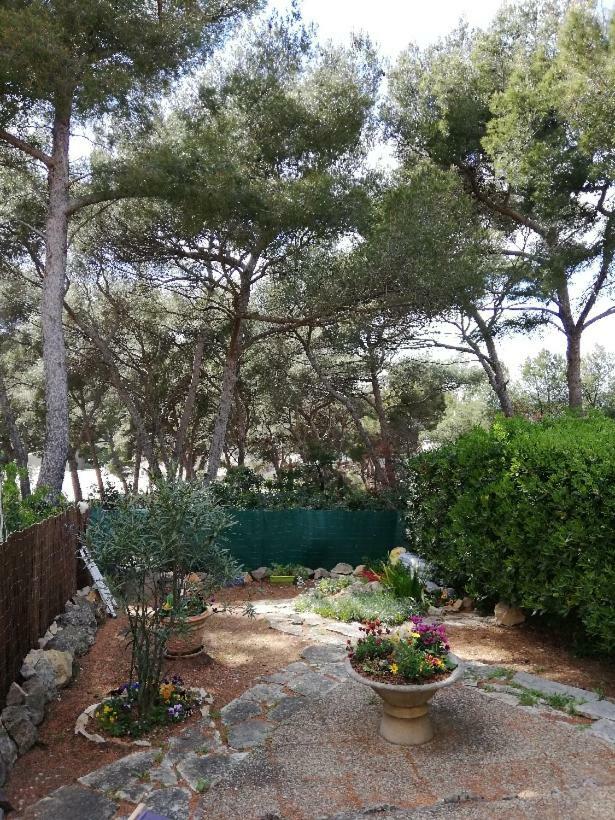 T2 Rez De Jardin 300M Plage De Beaucours Sanary Sur Mer Εξωτερικό φωτογραφία